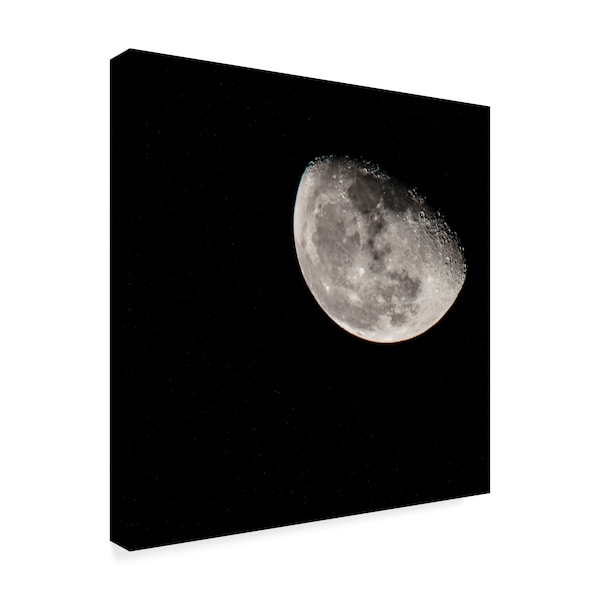 Brenda Petrella Photography Llc 'Lunar Craters' Canvas Art,14x14